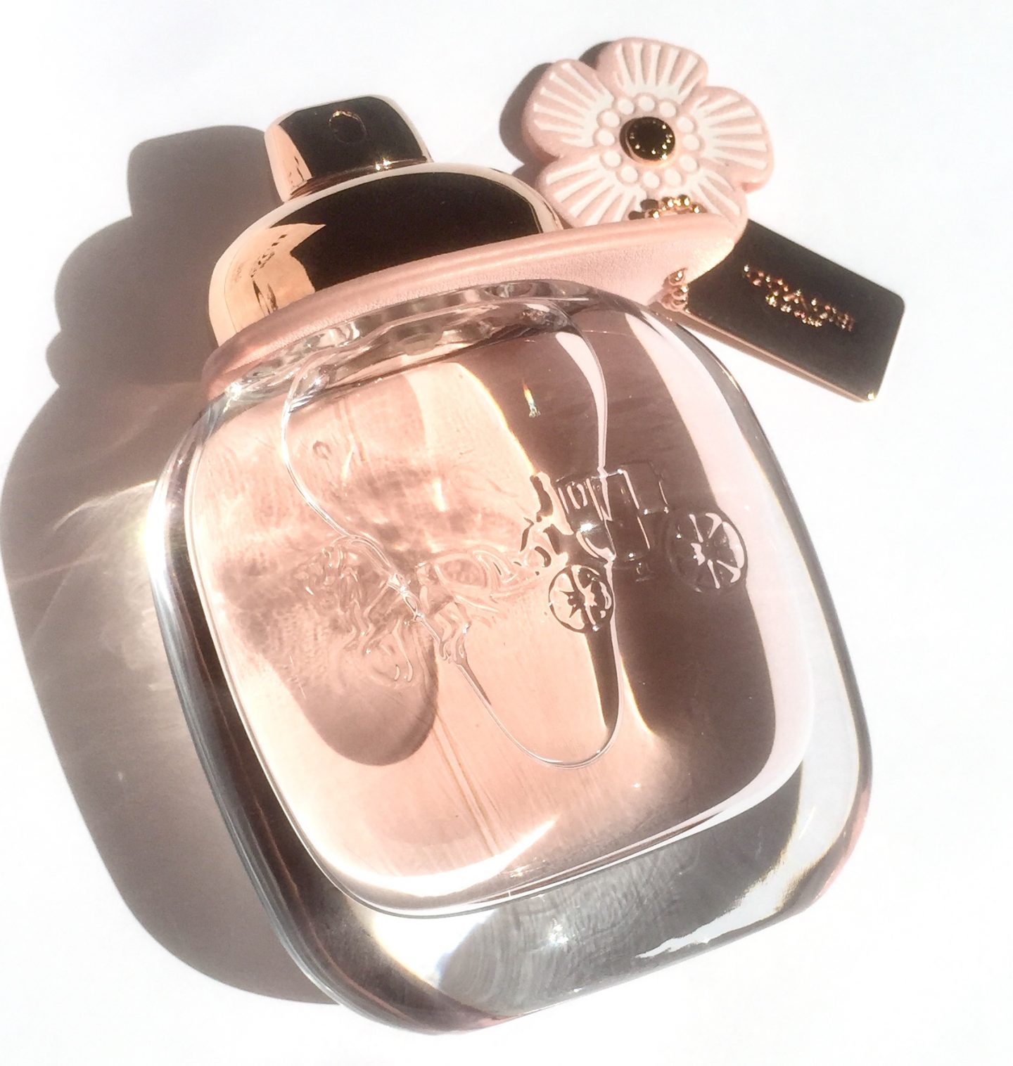 Coach floral eau de parfum